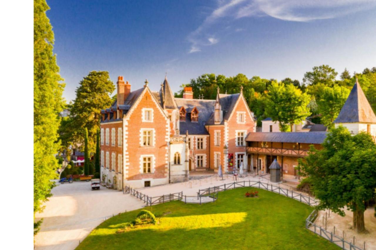 Da Vinci - Charmant Et Relax Amboise Exterior photo