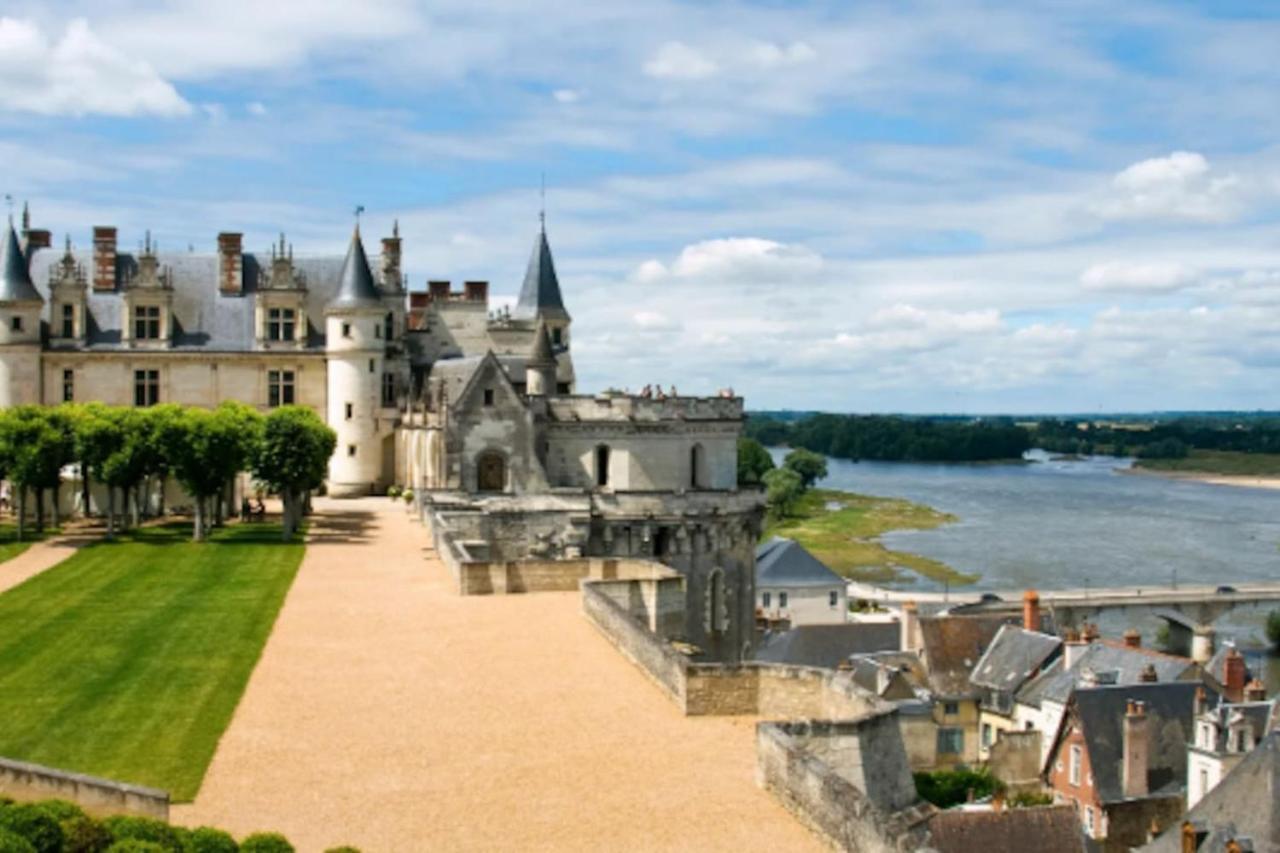 Da Vinci - Charmant Et Relax Amboise Exterior photo
