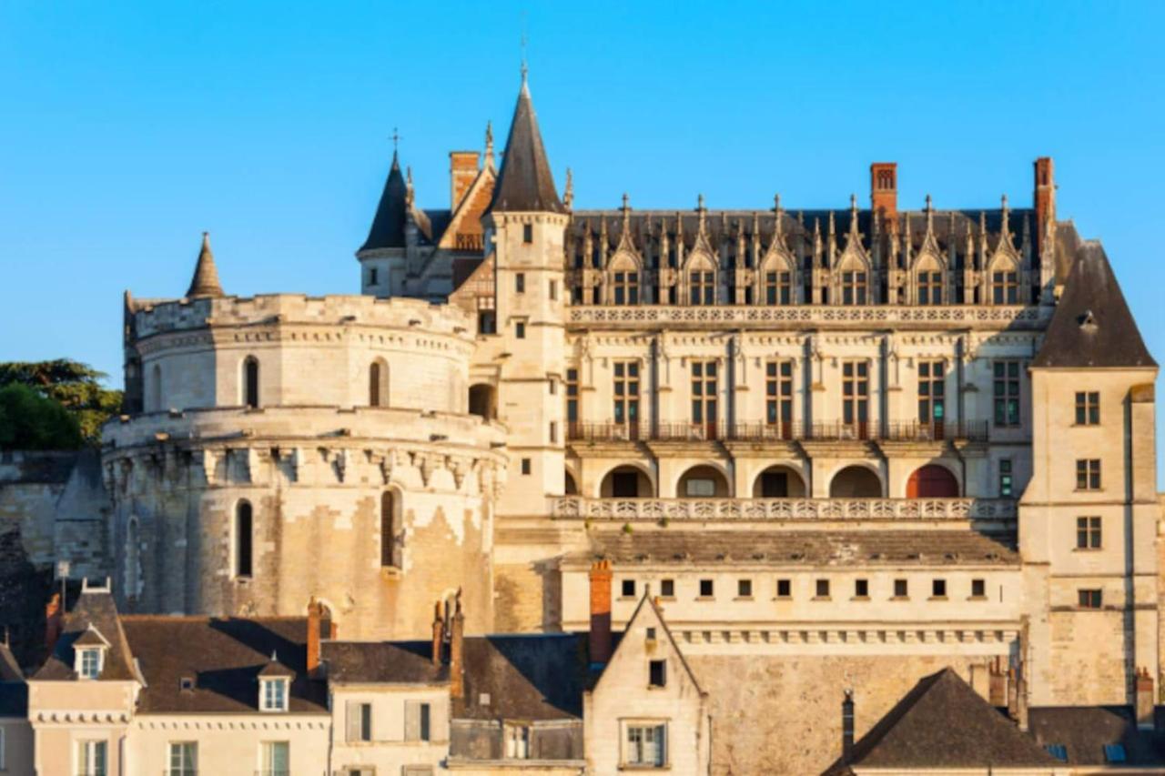 Da Vinci - Charmant Et Relax Amboise Exterior photo